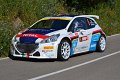 6 Peugeot 208 T16 P.Andreucci - A.Andreussi (94)